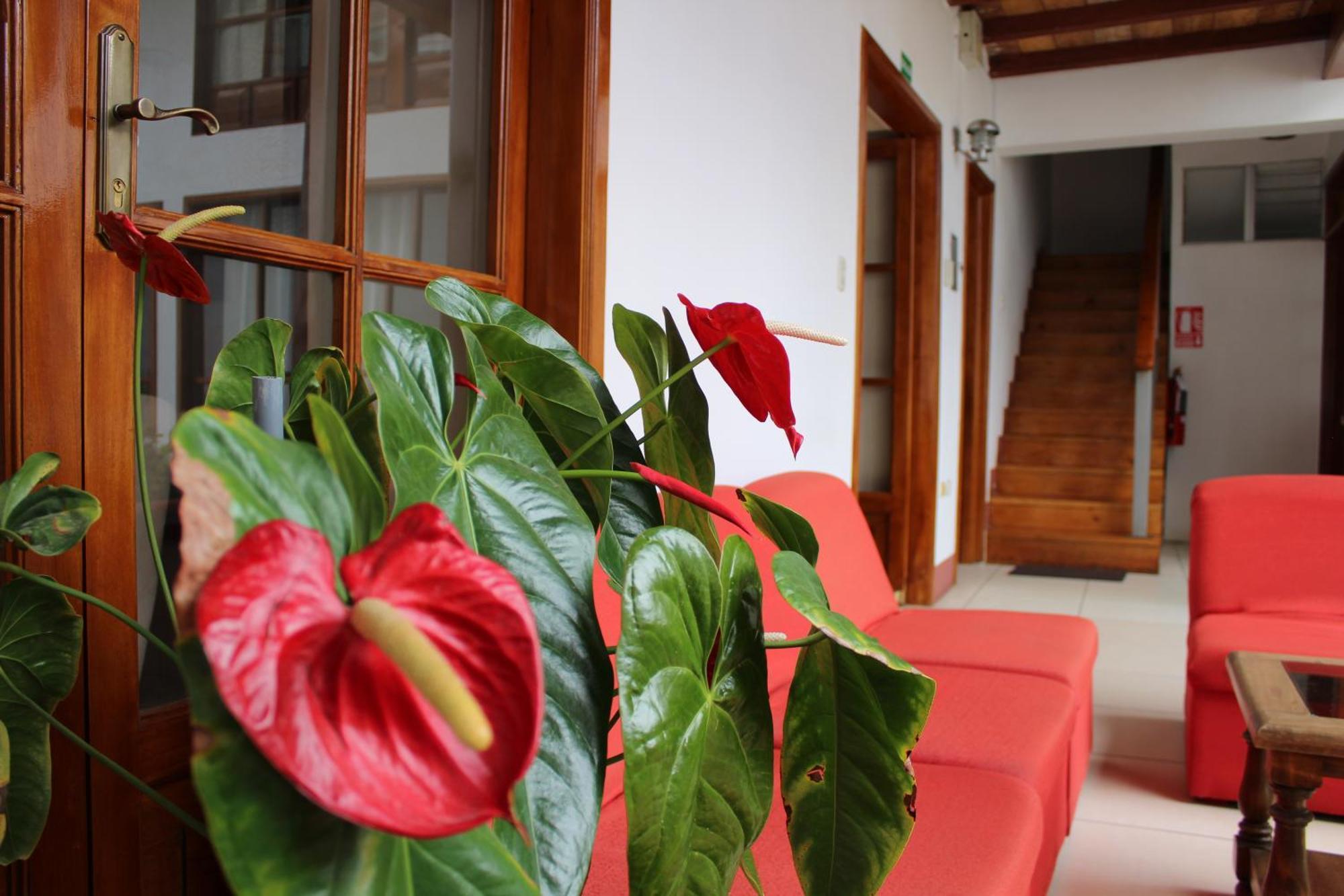 Apartamento Casa Pablo Cajamarca Exterior foto